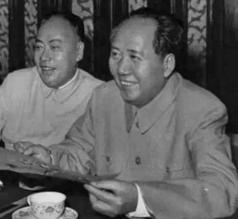 陳毅和毛主席