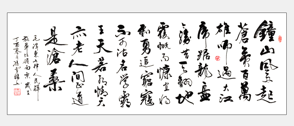 馮雪林書法作品《人民解放軍占領南京》