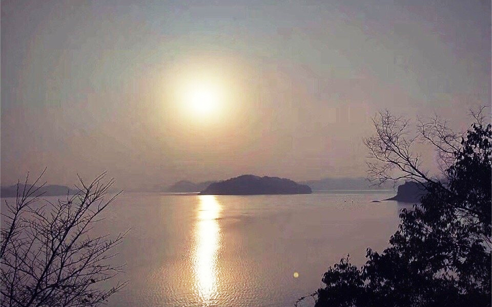 千江有水千江月