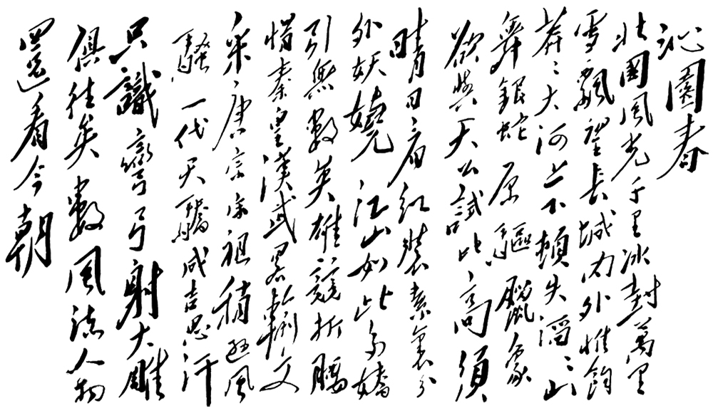 毛體《沁園春·雪》書法作品欣賞