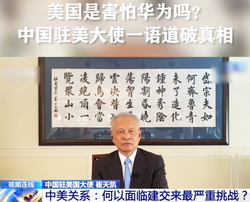 中國駐美大使館懸掛書法字畫——杜甫《望岳》